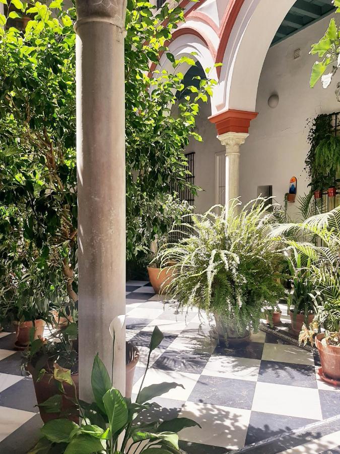 Downtown Loft In A 16Th Century Convent Διαμέρισμα Σεβίλλη Εξωτερικό φωτογραφία